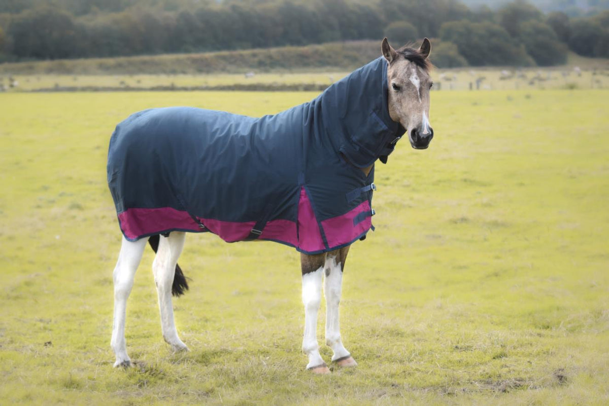 600D Mediumweight Waterproof Horse Turnout Rug 50g Fill Combo Full Neck Navy/Raspberry