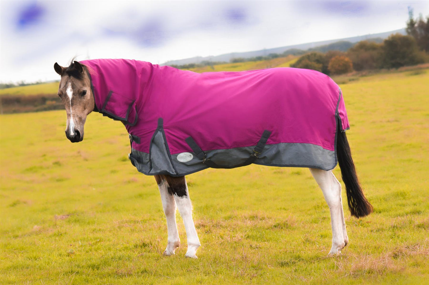 1200D Lightweight Waterproof Horse Turnout Rug 0g No Fill Combo Full Neck Raspberry/Grey