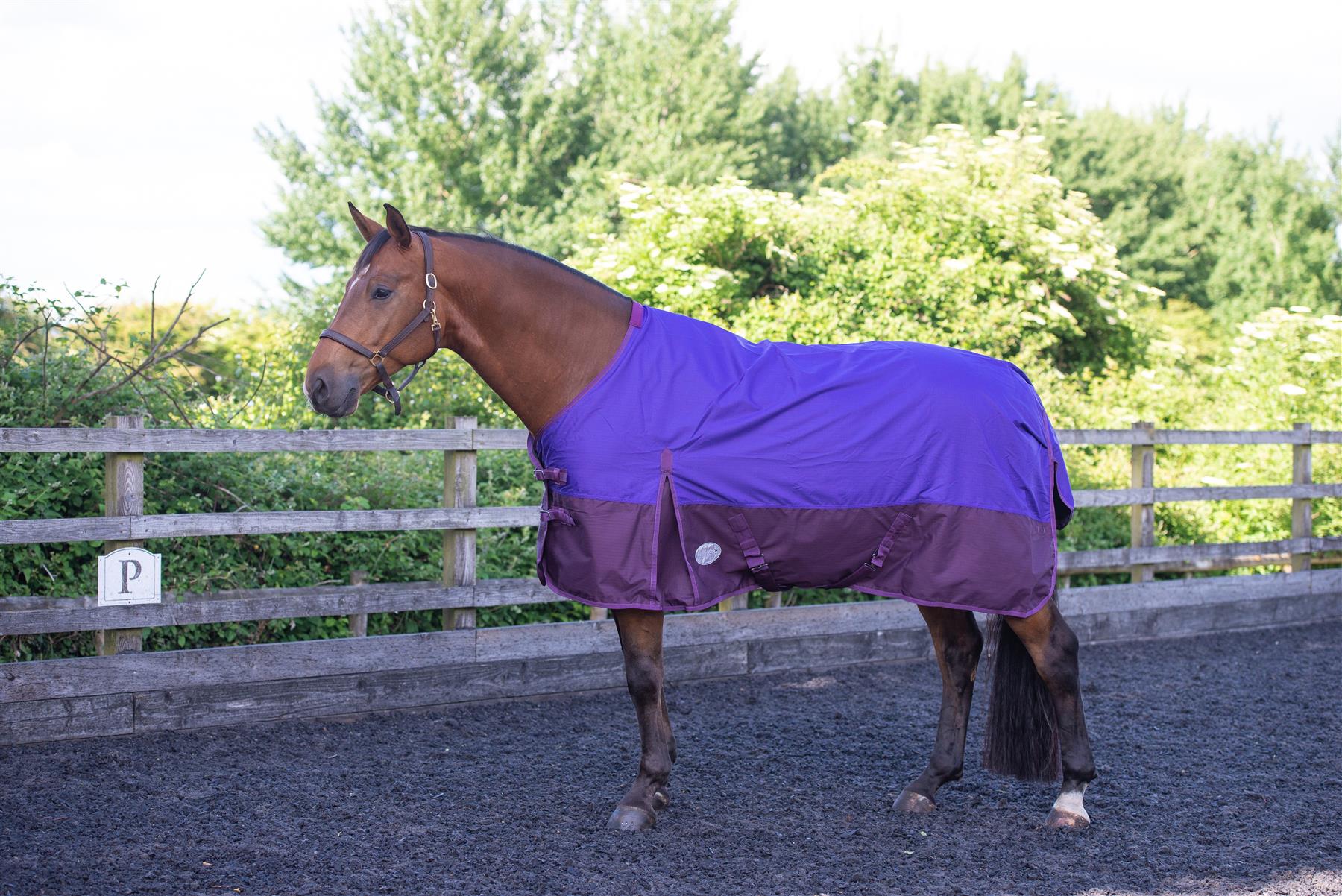 600D Lightweight Waterproof Horse Turnout Rug 0g No Fill Regular Neck Purple/Plum