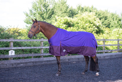 600D Lightweight Waterproof Horse Turnout Rug 0g No Fill Regular Neck Purple/Plum