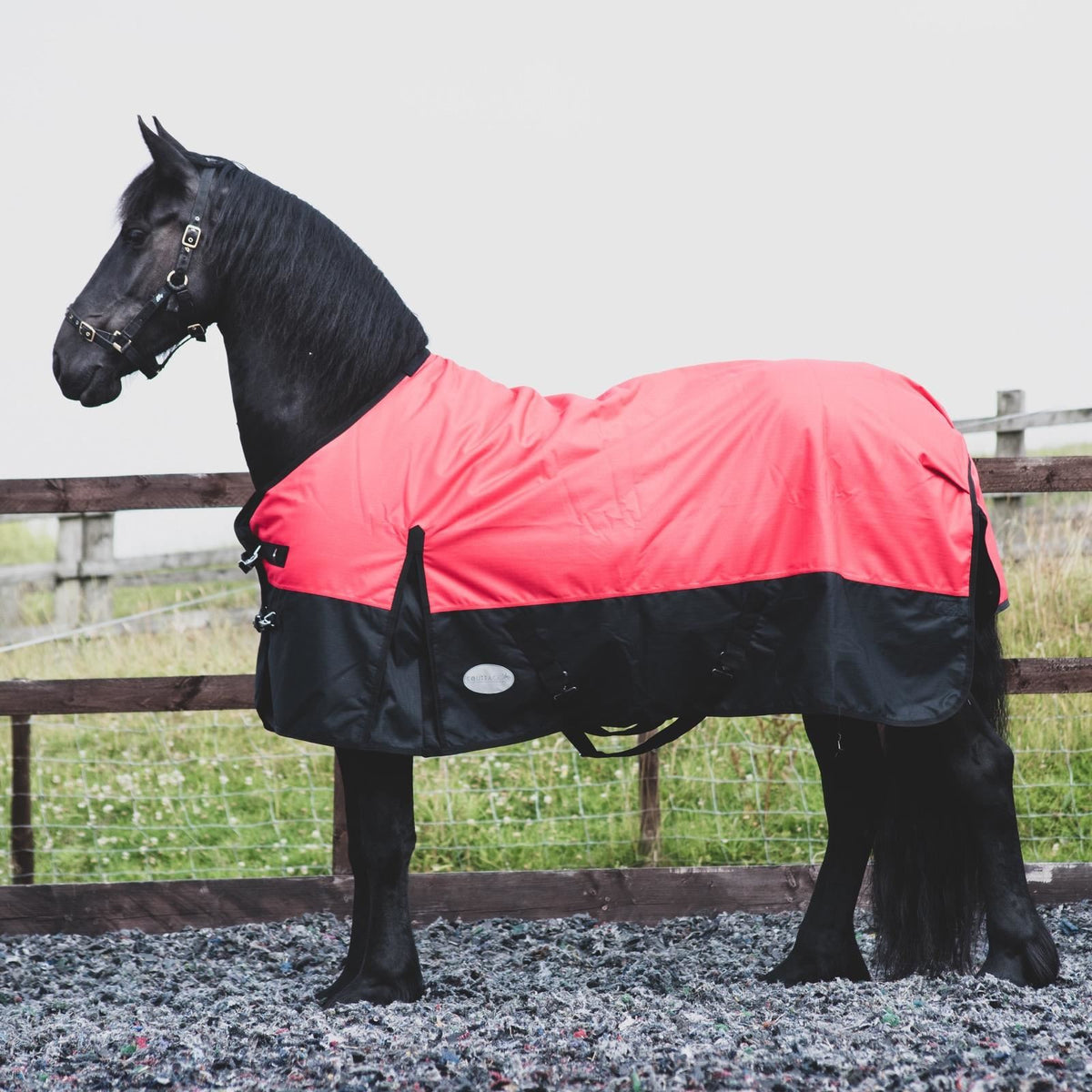 1200D Mediumweight Waterproof Horse Turnout Rug 100g Fill Standard Neck Red/Black