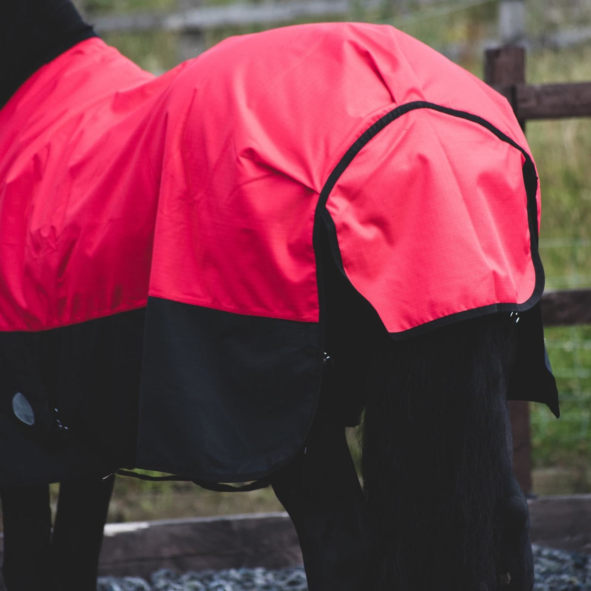 1200D Mediumweight Waterproof Horse Turnout Rug 100g Fill Standard Neck Red/Black