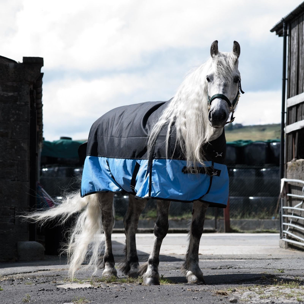 1200D Mediumweight Waterproof Horse Turnout Rug 100g Fill Standard Neck Black/Baby Blue