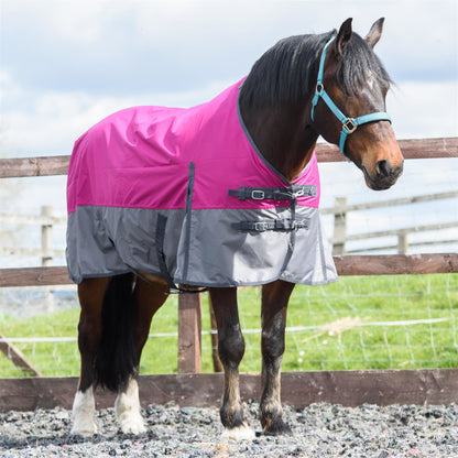 600D Mediumweight Waterproof Horse Turnout Rug 100g Fill Standard Neck Raspberry/Grey