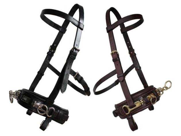 Professional Leather Lunge Cavesson Silver Buckles Black Brown 3 Sizes