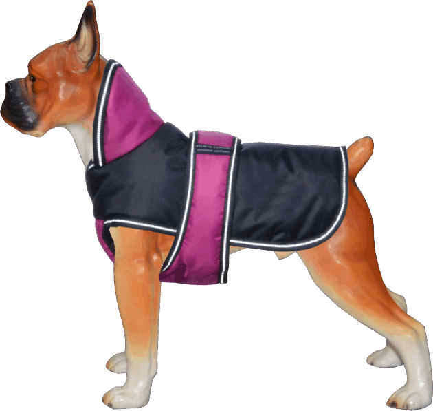 Winter Thermo Aberdeen *200G* Full Neck 8 Colours XXS - 9XL (8''-34'')