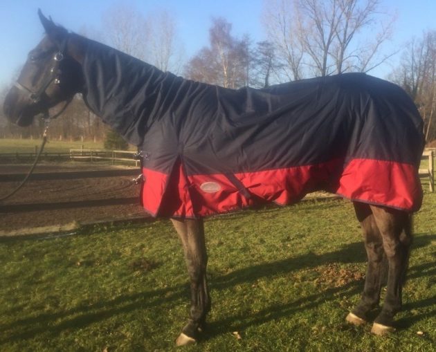 600 Denier Turnout Rug 350gsm Combo Neck Navy/Red 5’6 – 6’9