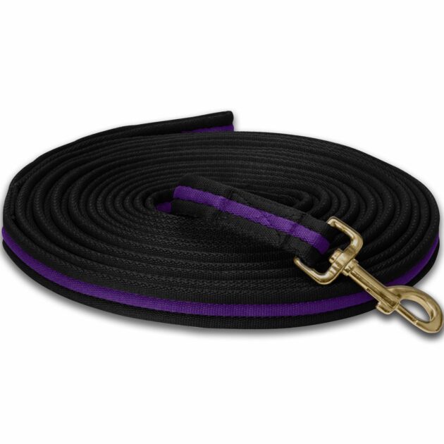 4 Metres Soft Padded Lunging Rein Pony Horse Training Long Lunge Line Black/Purple
